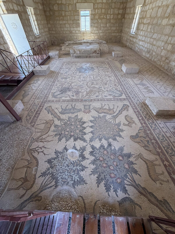 The mosaic pavement of the nave, Church of Sts. Lot and Procopius, Khirbet al-Mukhayyat. (Photo by Kristen Flake.)