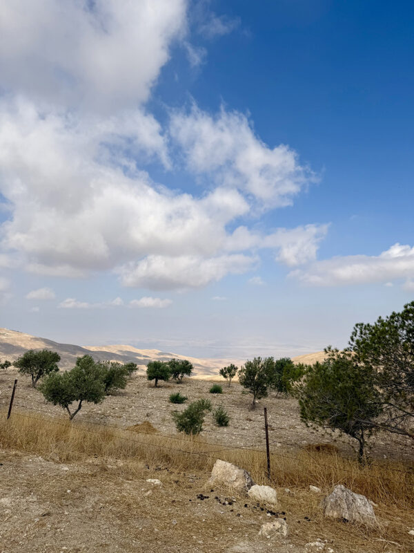 View looking toward the Dead Sea from Khirbet al-Mukhayyat. (Photo by Kristen Flake.)