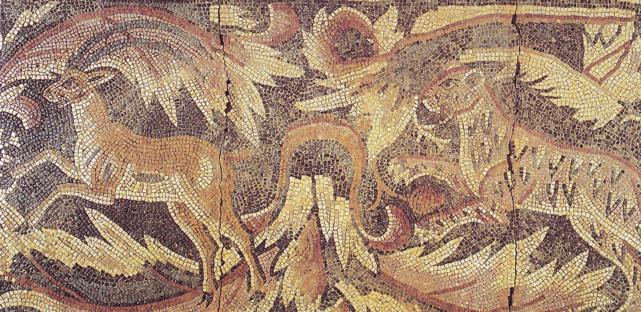This stunning mosaic in the Hippolytus Hall was discovered in 1905 by the property owner, from The Mosaics of Jordan (1992).
