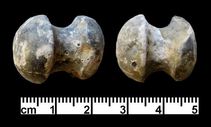 Stone labret. (Photo by G. O. Rollefson.)